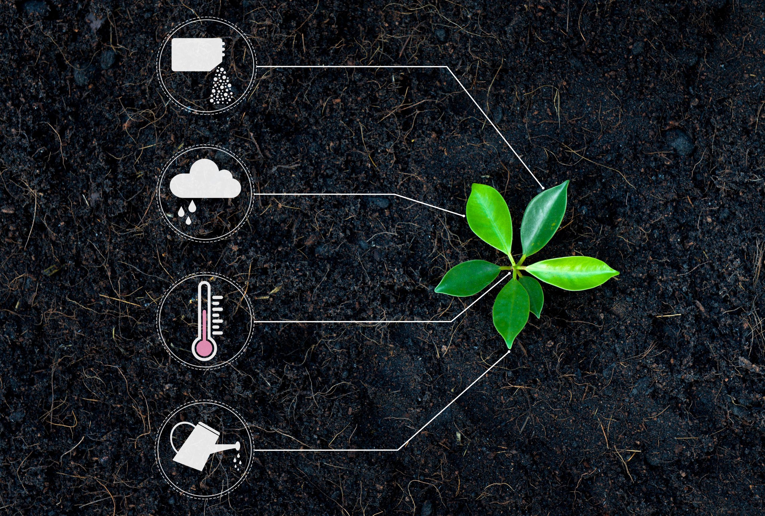Micronutrients