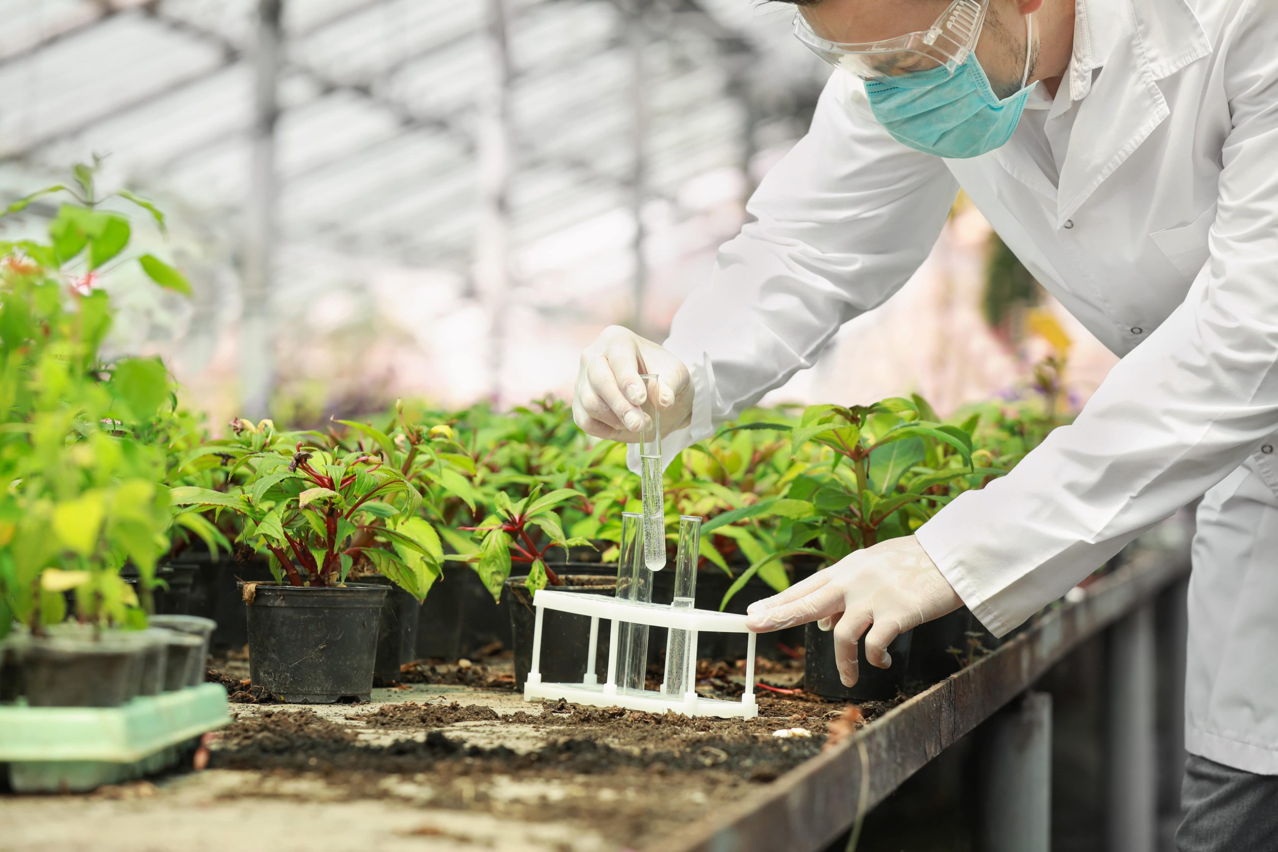 Weedicide/Herbicide